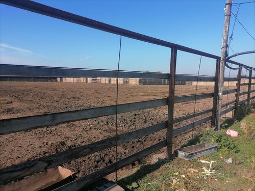 Фото пресс-службы Управления Россельхознадзора по Хакасии и Туве